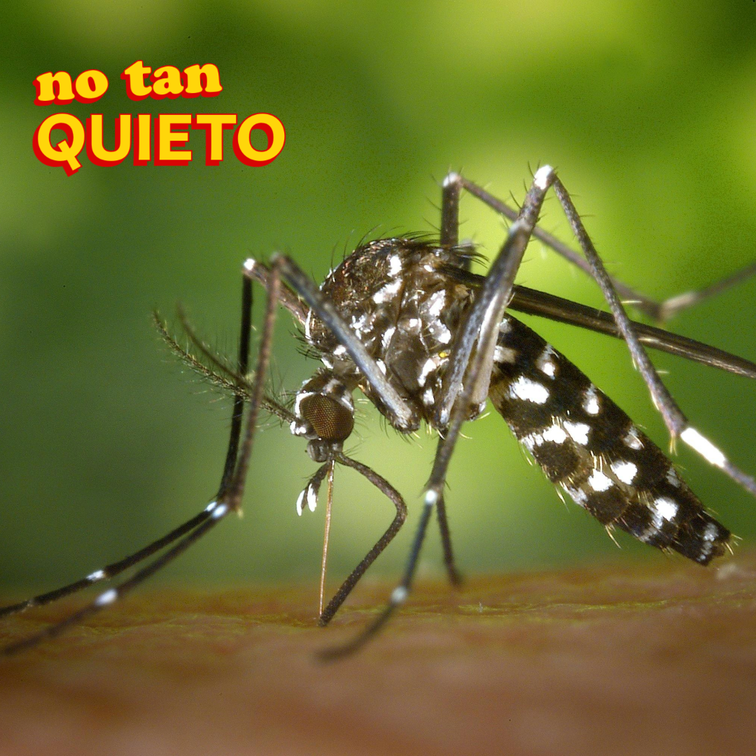 Después de 73 años Costa Rica confirma un caso de fiebre amarilla